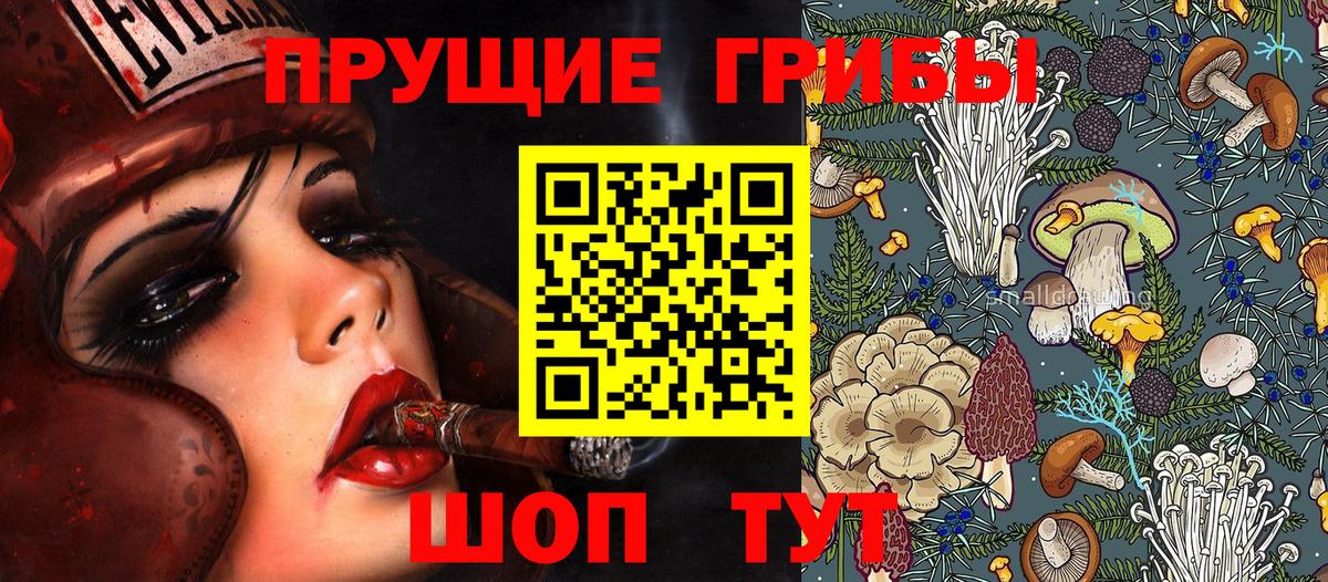 Псилоцибиновые грибы Magic Shrooms  Галлюциногенные грибы Cubensis  Йошкар-Ола  Вход с VPN 
